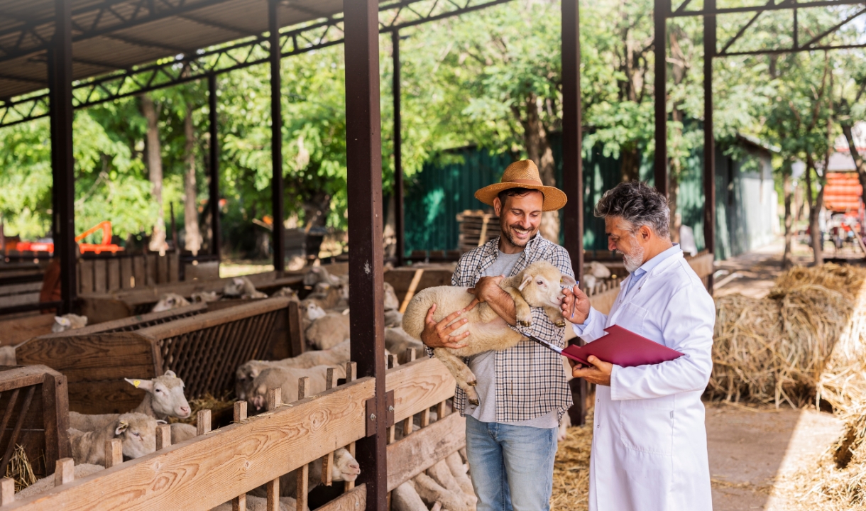 Veterinários